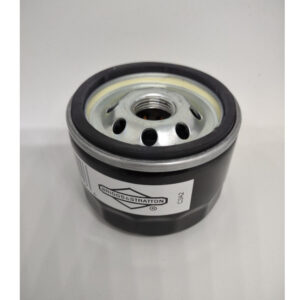 Filtro olio Briggs & Stratton per Intek-Boxer-Vanguard - 492932S