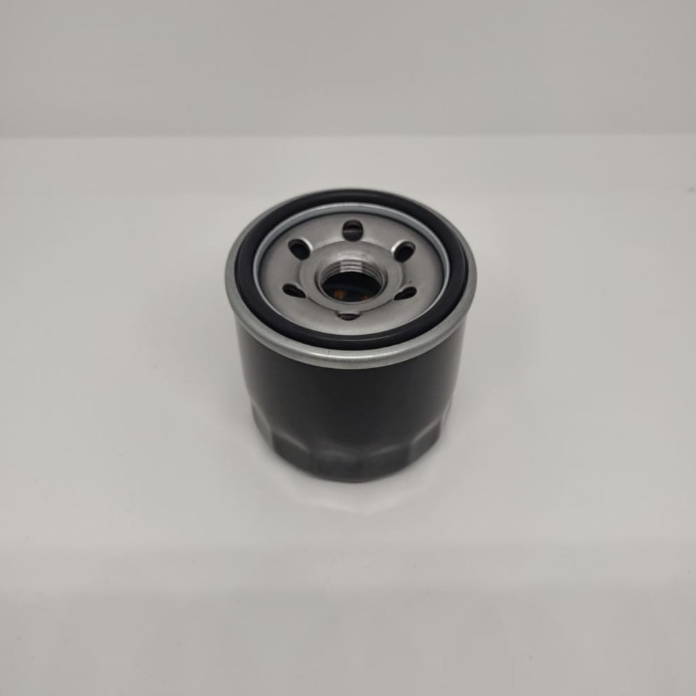 Filtro olio originale Emak per motore Emak K2400 AVD 708CC, per trattorino Oleo Mac, Efco - L66151517