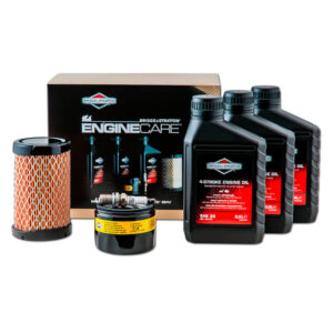 Kit manutenzione originale Briggs & Stratton Modello 31, series 4Intek I/C OHV, 31R7, 31R8, 31R9 - 992243
