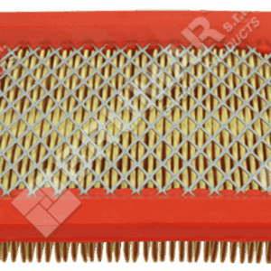 Filtro aria per motori ALPINA - CASTOR - CASTELGARDEN - GGP 180550147 - 022429