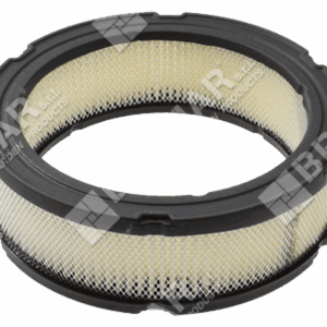 Filtro aria per motori BRIGGS & STRATTON 394018S - 020231