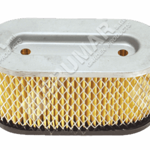 Filtro aria per motori BRIGGS & STRATTON 491950 - 000275