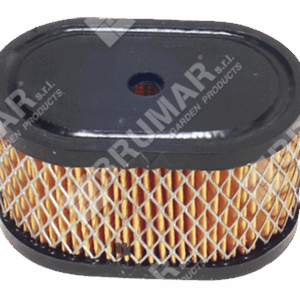 Filtro aria per motori BRIGGS & STRATTON 494586 - 497725 - 000265