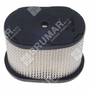 Filtro aria per motori BRIGGS & STRATTON 690610 - 009282