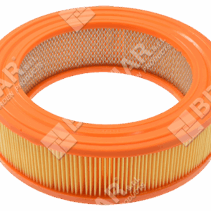 Filtro aria per motori BRIGGS & STRATTON 692519 - 020176