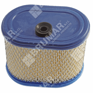 Filtro aria per motori BRIGGS & STRATTON 695302 - 015696