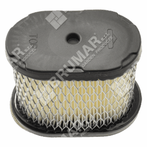 Filtro aria per motori BRIGGS & STRATTON 697029 - 020133