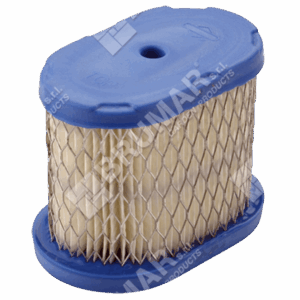 Filtro aria per motori BRIGGS & STRATTON 697029 - 020188