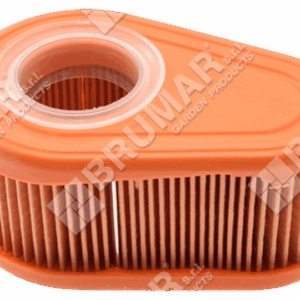 Filtro aria per motori BRIGGS & STRATTON 792038 - 020199