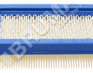 Filtro aria per motori BRIGGS & STRATTON 795115 - 020204