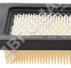 Filtro aria per motori BRIGGS & STRATTON 797007 (ex 698413) - 020207