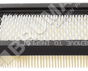 Filtro aria per motori BRIGGS & STRATTON 797008 - 020208