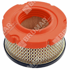 Filtro aria per motori BRIGGS & STRATTON 797819 - 035413
