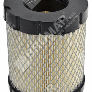 Filtro aria per motori BRIGGS & STRATTON 798897 - 035412