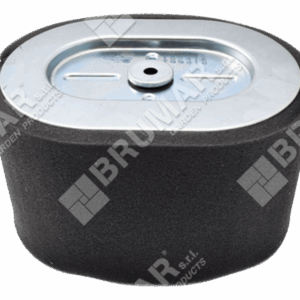 Filtro aria per motori BRIGGS & STRATTON 799818 - 050699