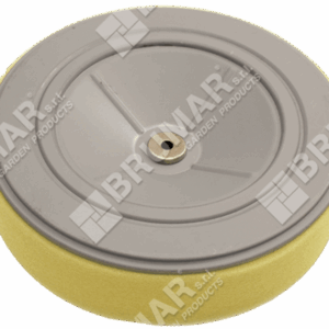 Filtro aria per motori HONDA 17210.Z6L.010 - 019502