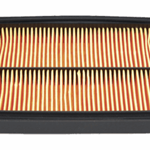 Filtro aria per motori HONDA 17210.ZJ1.841 - 17210.ZJ1.842 - 009594