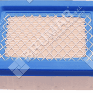 Filtro aria per motori KAWASAKI 11029-0015 - 030250