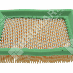 Filtro aria per rasaerba GIANS P-65-004-07-00 - 019217