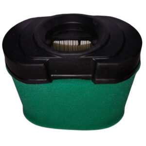Filtro aria per motori BRIGGS & STRATTON 792105 - 015698